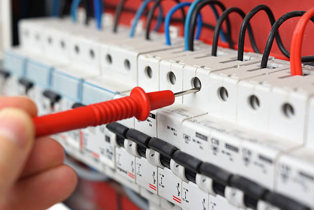 Best Electrical Panel Upgrades  in Roosevelt Park, MI